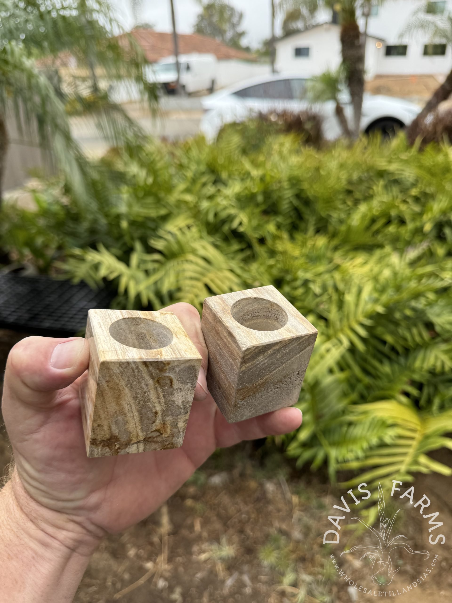 Petrified Wood Tillandsia Pot product photo