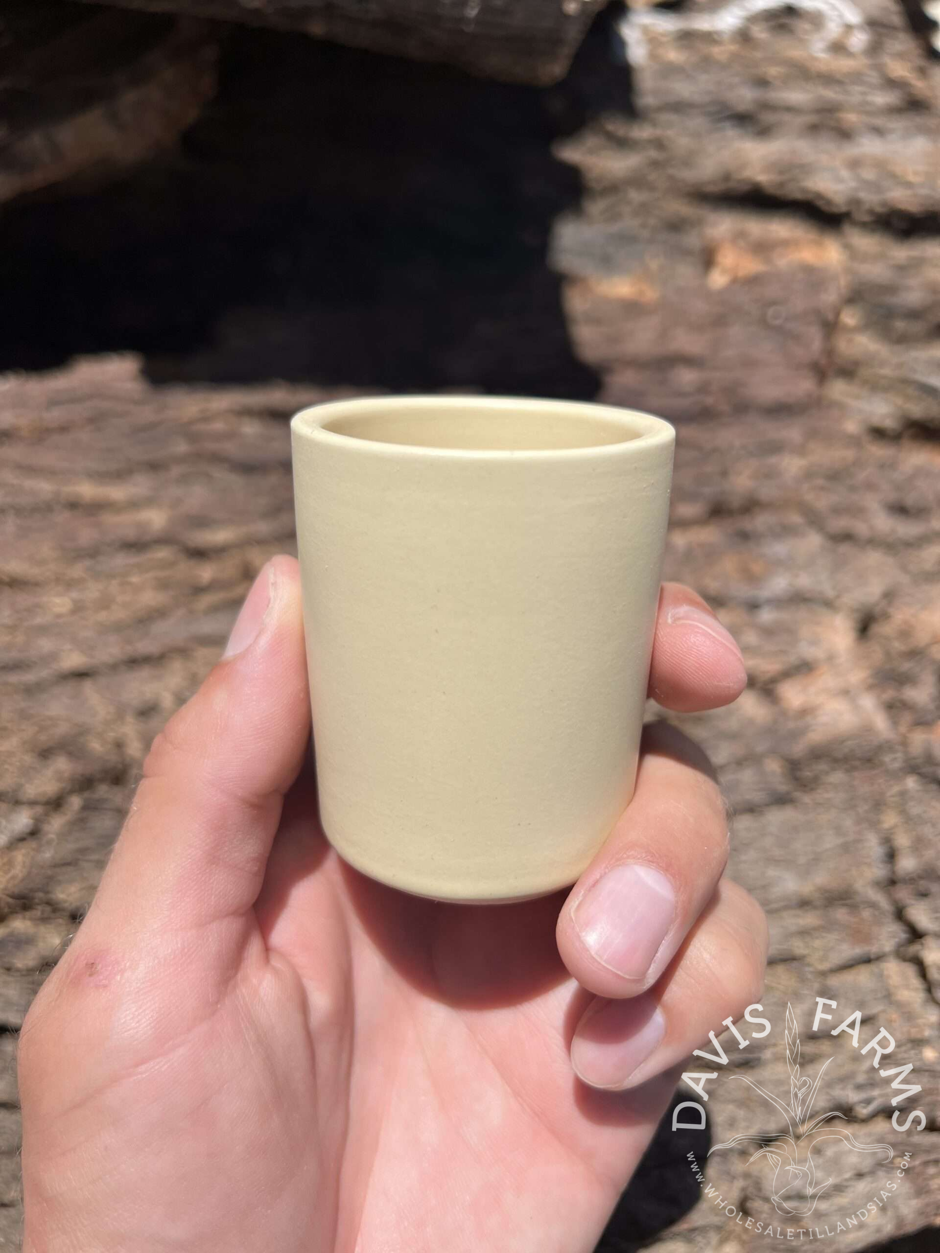 Limited Edition Ceramic Pot