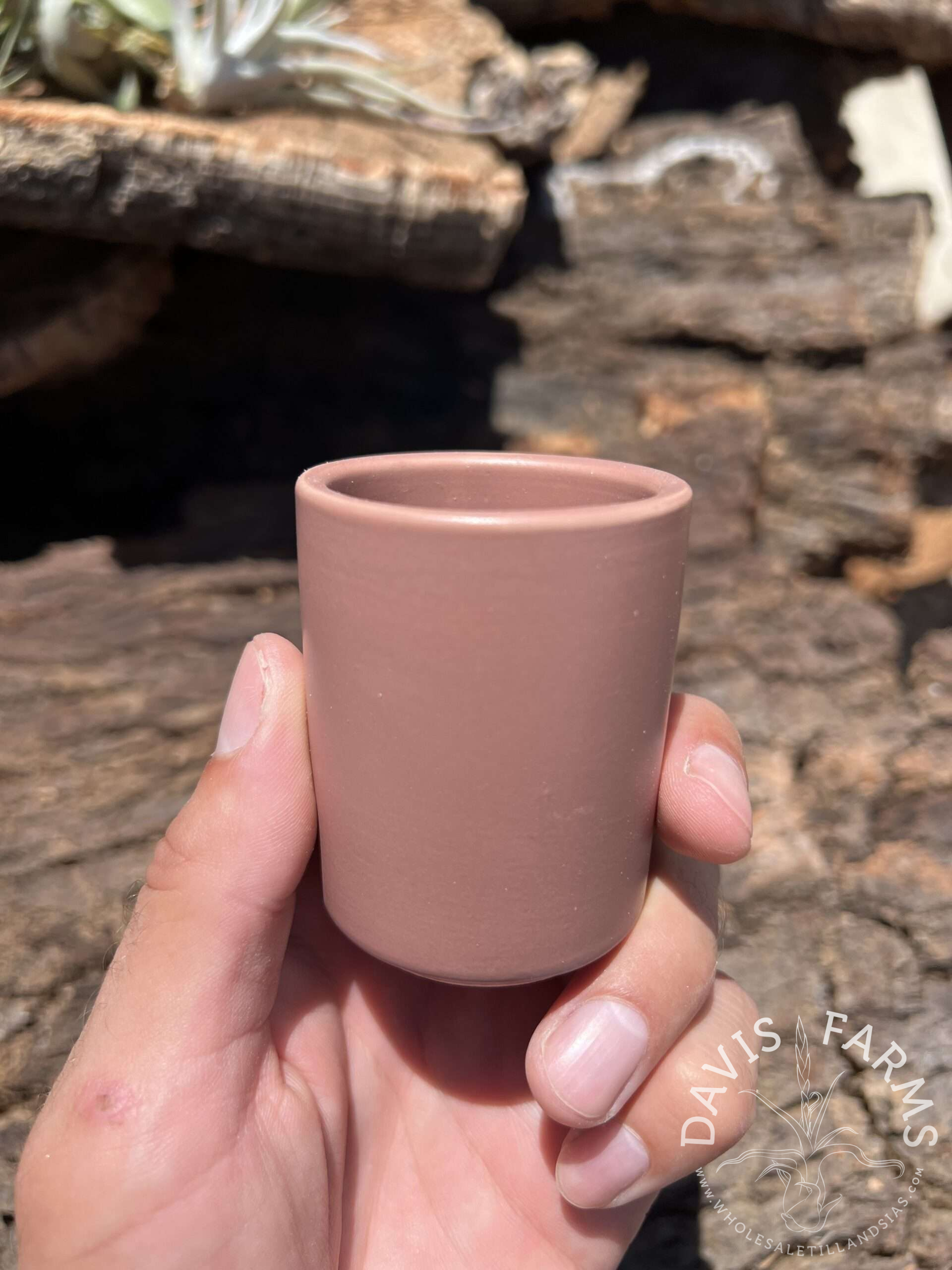 Limited Edition Ceramic Pot