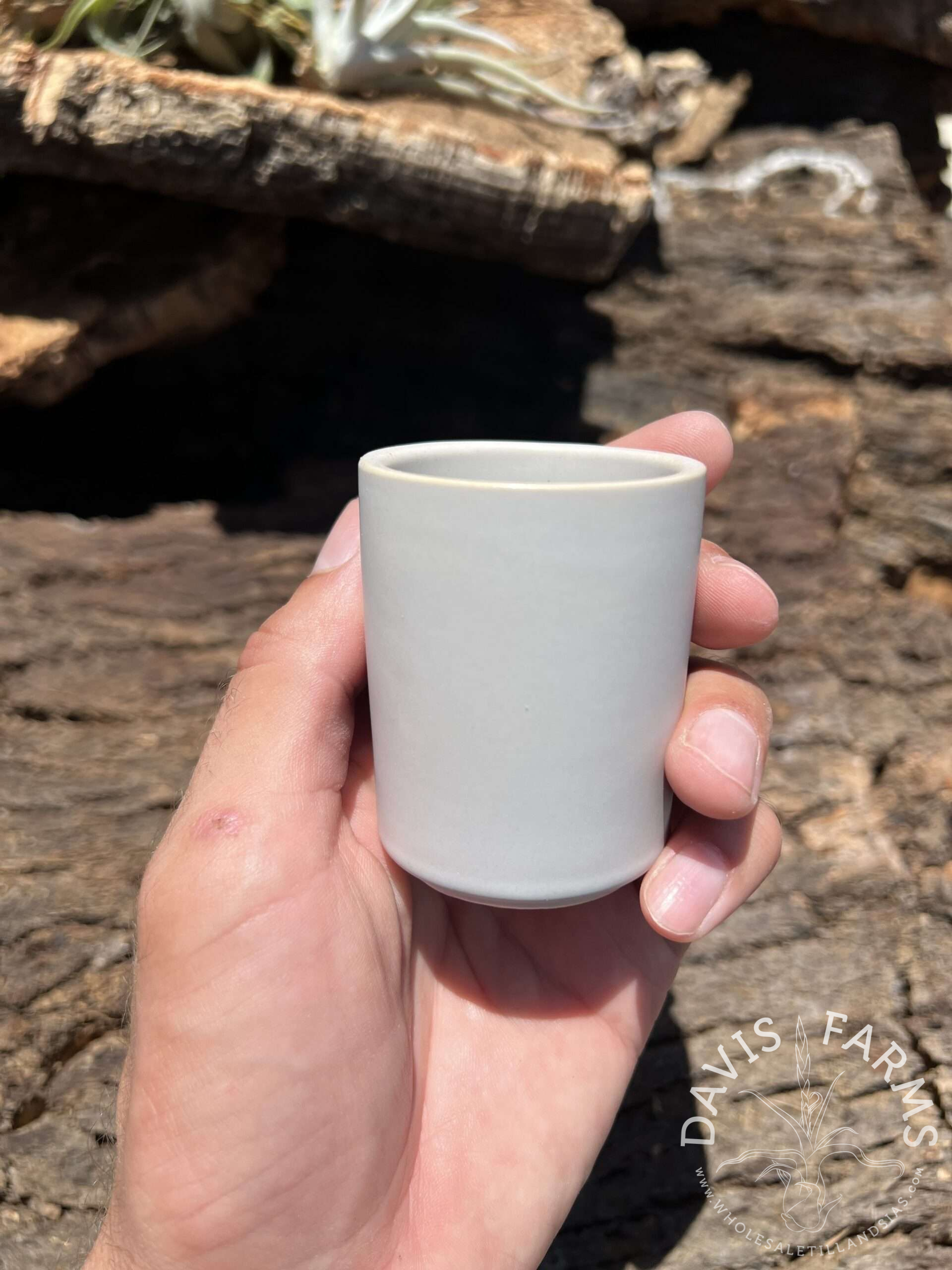 Limited Edition Ceramic Pot
