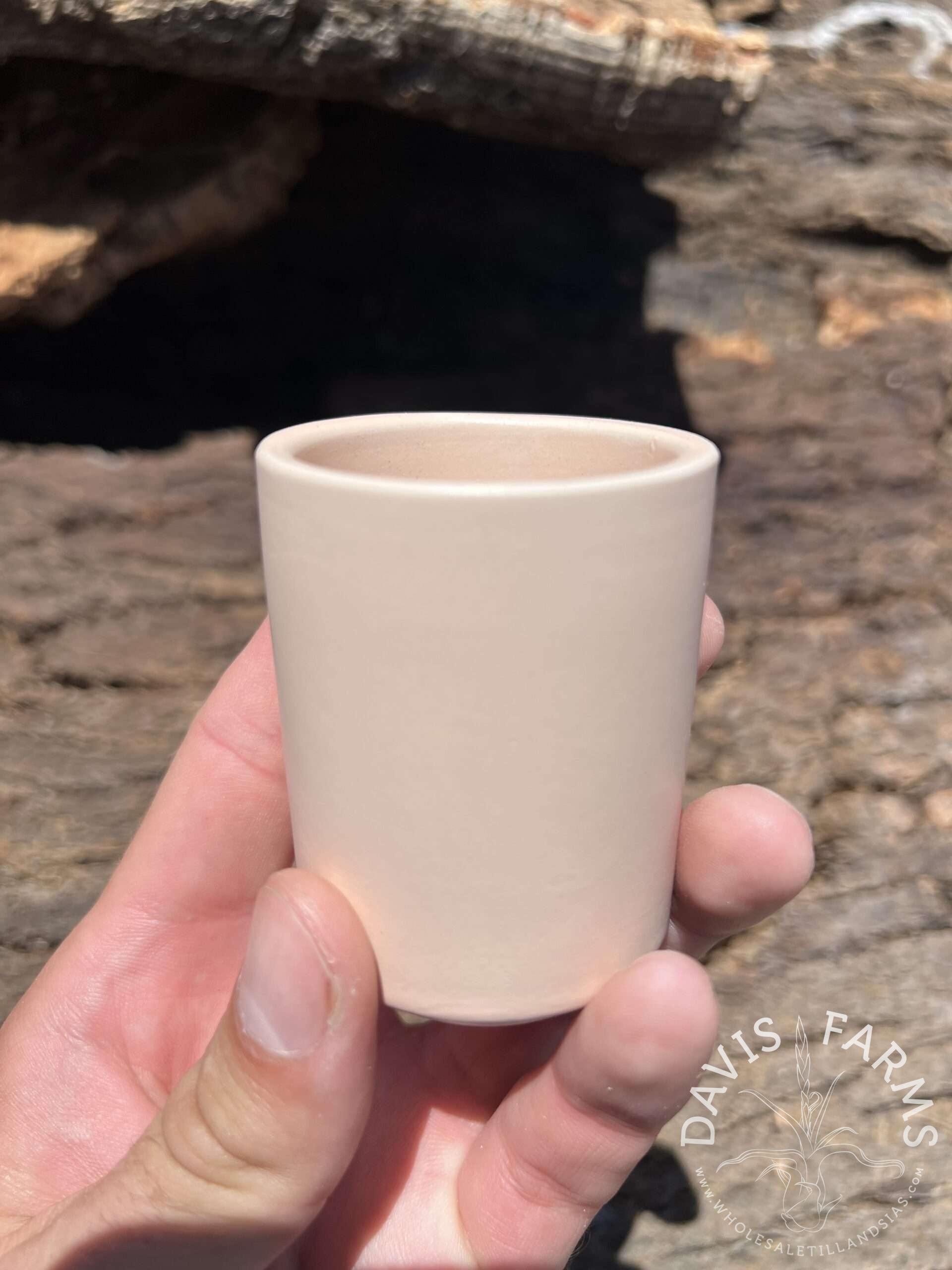Limited Edition Ceramic Pot