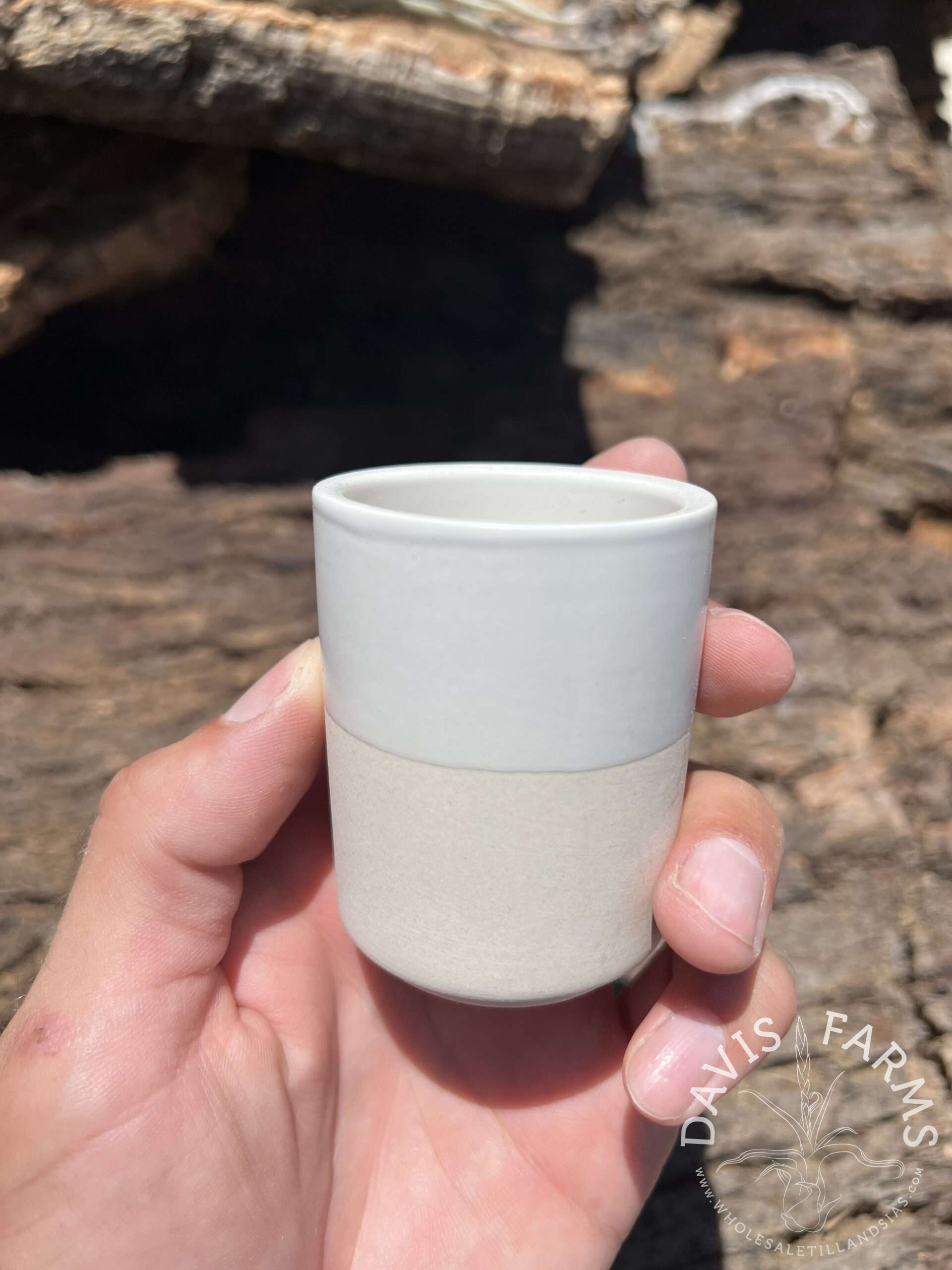 Limited Edition Ceramic Pot