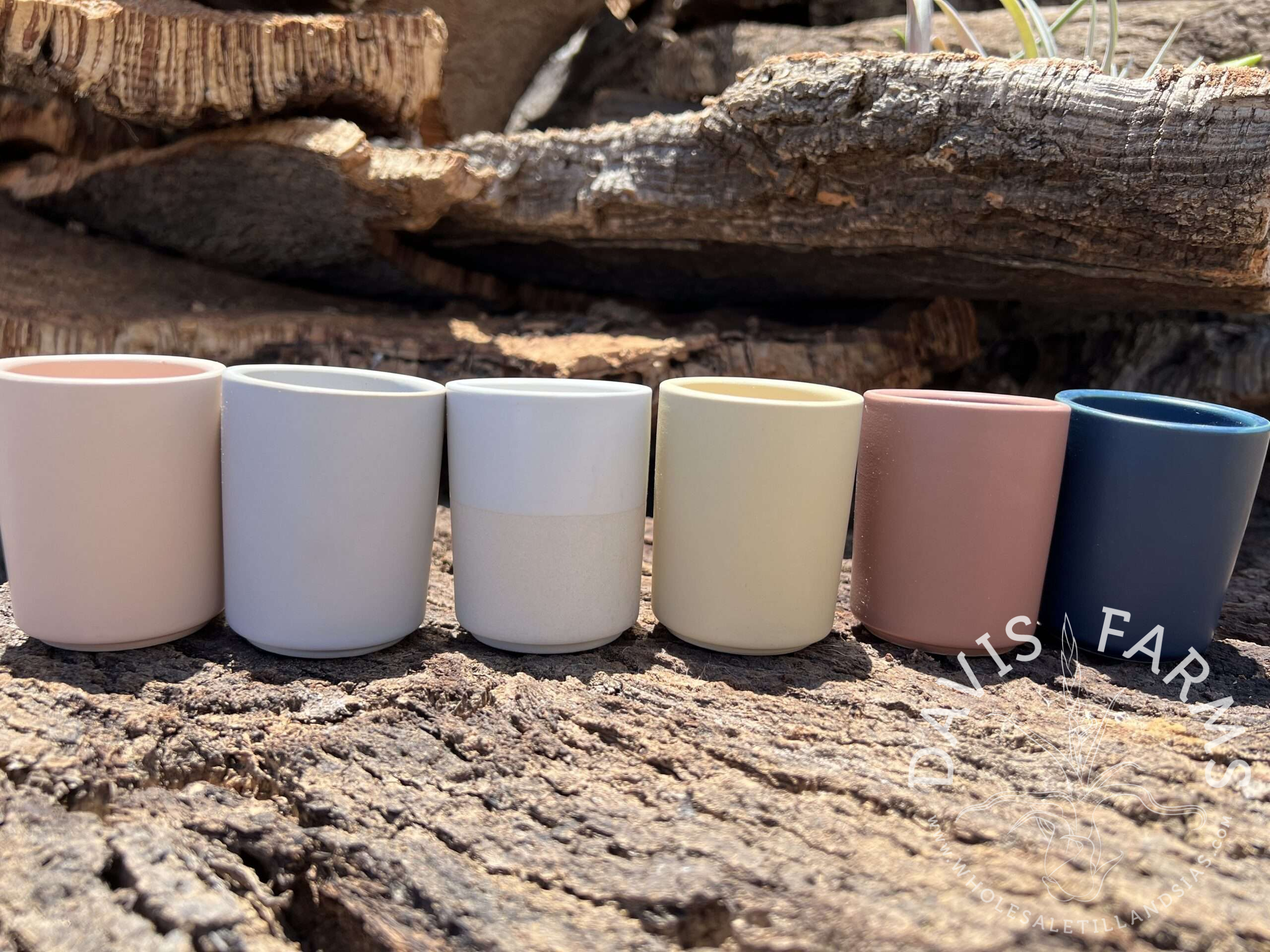 Limited Edition Ceramic Pot