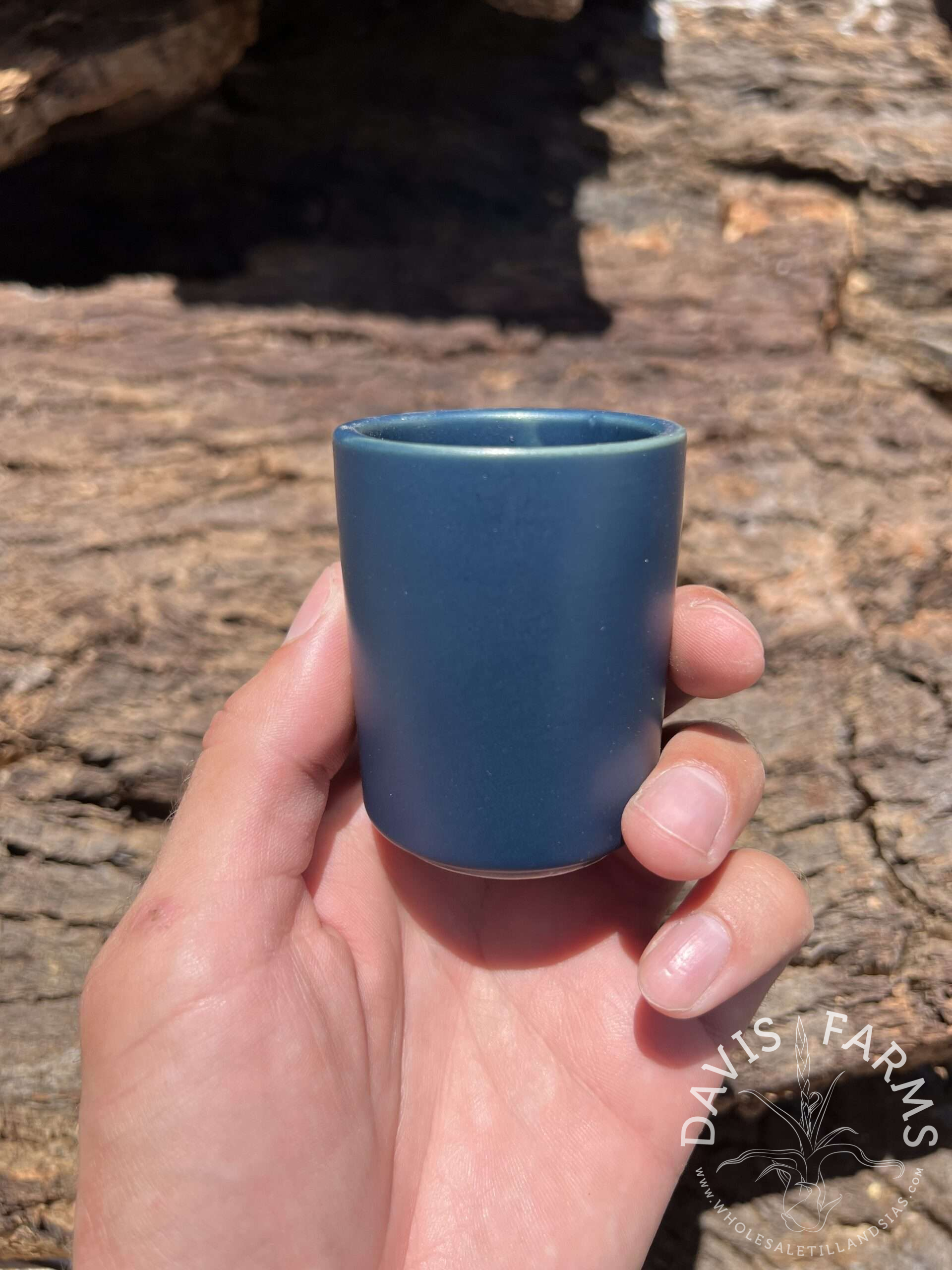 Limited Edition Ceramic Pot