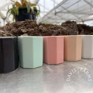 Hexagonal Ceramic Pot