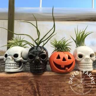 Halloween Ceramic Pots